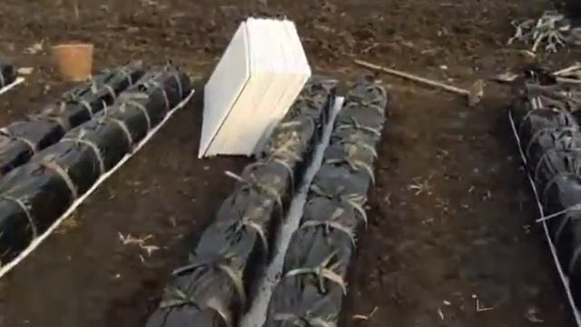 Агро пленка. "Зеленый Луч" - Тепличный комплекс смотреть онлайн