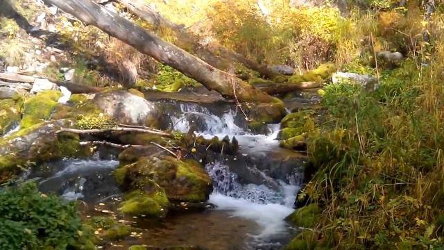 Река Прорва