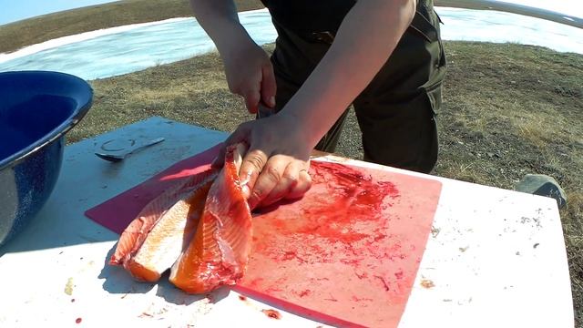 Дикая кухня!!!(Юкола) смотреть онлайн