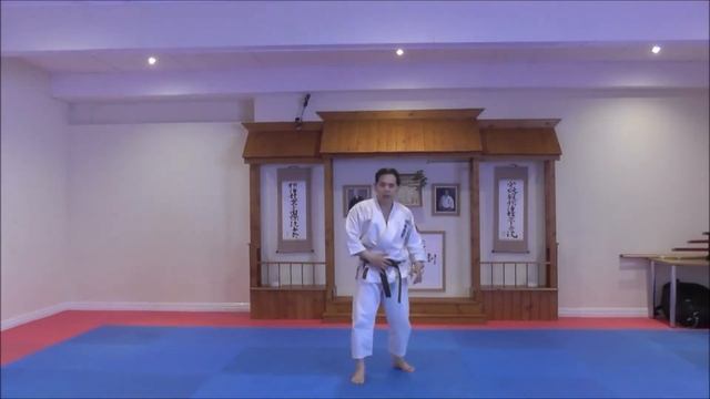 Mae tobi geri & Nidan geri commentary by SKIF Sensei Katsu TJ-Shuhari Shotokan Karate Association смотреть онлайн