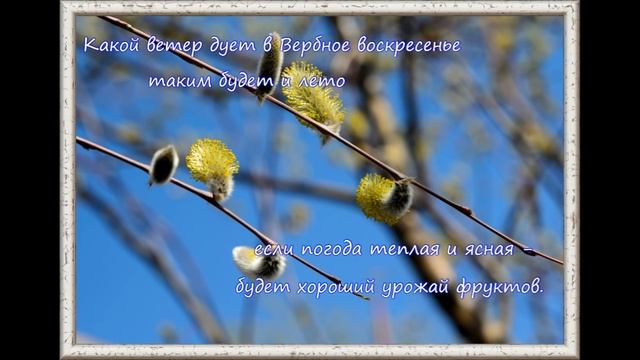 Вербное воскресенье.Народные приметы. смотреть онлайн