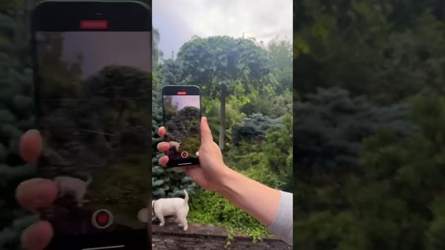 Главная фишка iPhone 14 Pro смотреть онлайн