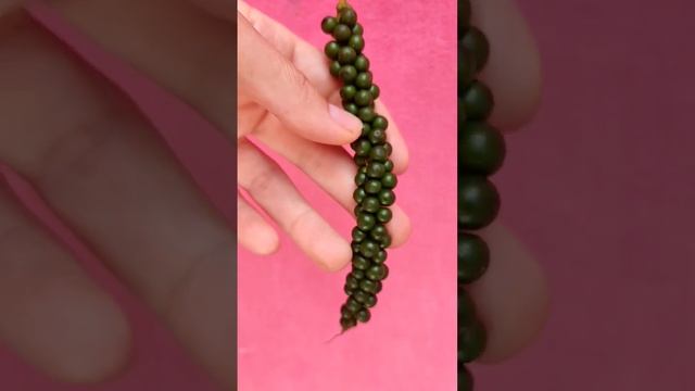 Как растёт чёрный перец в Бразилии смотреть онлайн