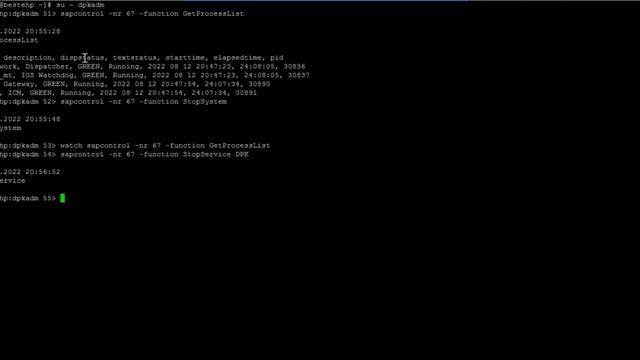 SAP Application Stop and Start | SAPBASIS| SAPCONTROL | LINUX | ODIA ENGINEER смотреть онлайн