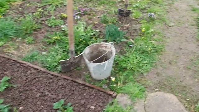 Дачный влог. Новая теплица. Сад ЦВЕТЕТ ?. Рассада доехала? смотреть онлайн