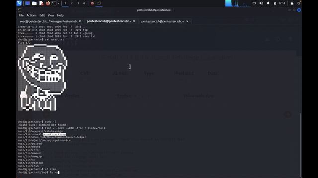 Mastering Local File Inclusion Penetration Testing смотреть онлайн