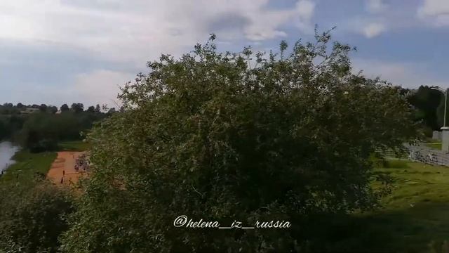 10.06.2020 г. Прогулка. Ленинградская область. #россия #ленинградскаяобласть #природа смотреть онлайн