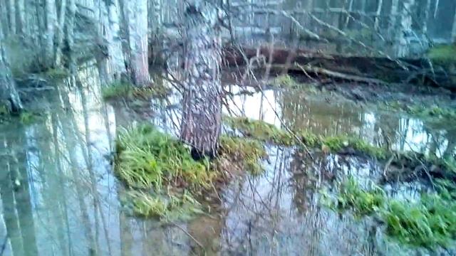 БОБР. Польза или Вред. смотреть онлайн