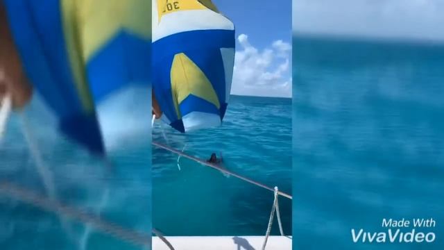 Cancun, Quintana Roo - Mexico смотреть онлайн