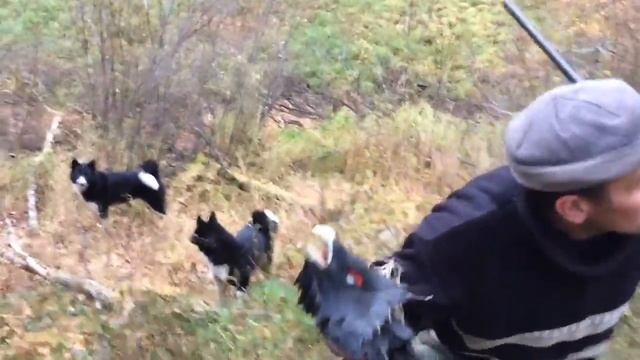 Старое видео 2016 года. смотреть онлайн