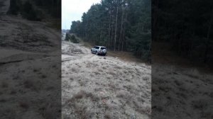 TOYOTA LAND CRUISER J90 3.4 PRADO