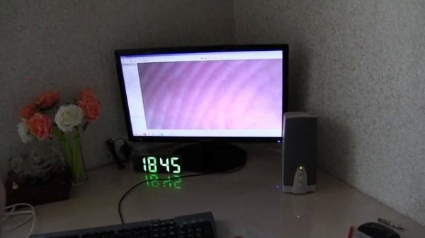 Как выглядит кошка под микроскопом в обзоре электронного микроскопа Digital Microscope из Китая