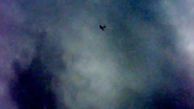 Warbirds Mk9 spitfire maiden 17 6 2015 смотреть онлайн