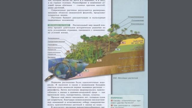 Биология (Л.Н.Сухорукова) 7к §9 Царство Растения смотреть онлайн