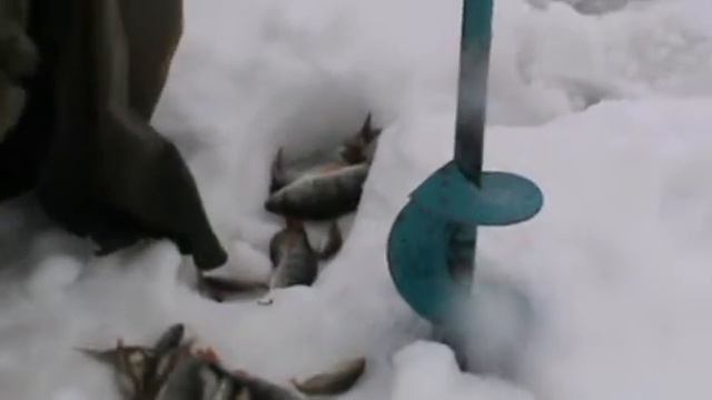 Чкаловская рыбалка 16 марта 2013г смотреть онлайн