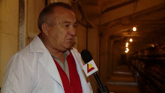 С помощью финансирования РКФР в Кыргызстане развивается рынок продукции птицеводства