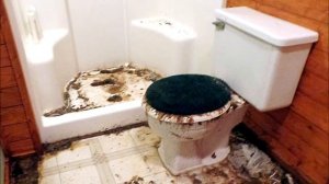 Месть сантехника  Засор канализации и что делать, если вашу квартиру залили канализацией