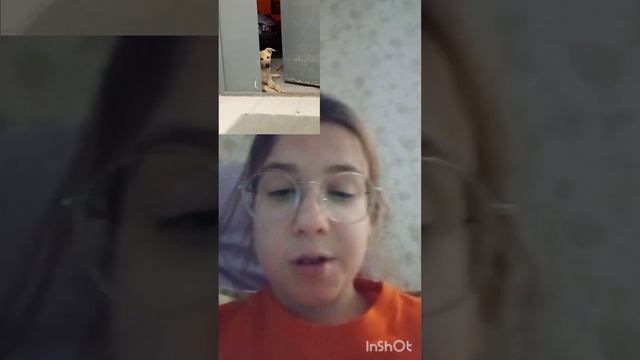 Заберите щенка кто нибудь! смотреть онлайн