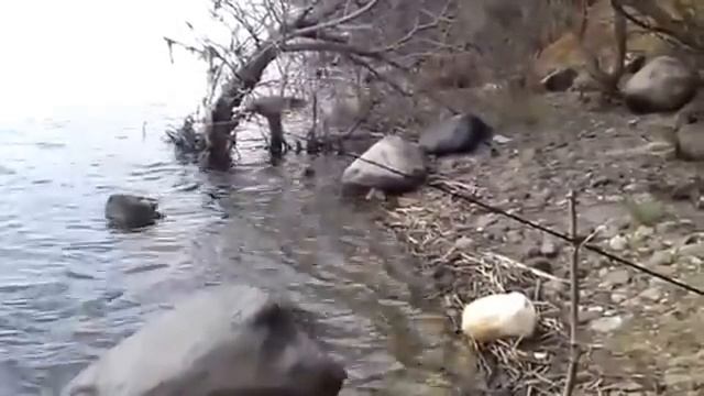 Я ловлю на Донку с колокольчиком смотреть онлайн