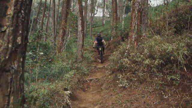 POLYGON SISKIU D SERIES: Exceed Your Expectation смотреть онлайн