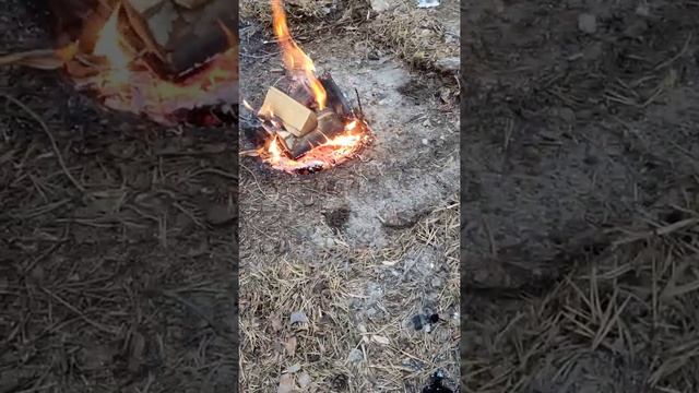 Холодное копчение рыбы в походе? смотреть онлайн