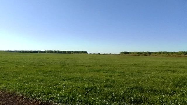 Степь оренбургская, вольный простор!: видео-зарисовка, посвящённая Дню степи.mp4 смотреть онлайн