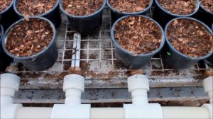 Теплые стеллажи для рассады