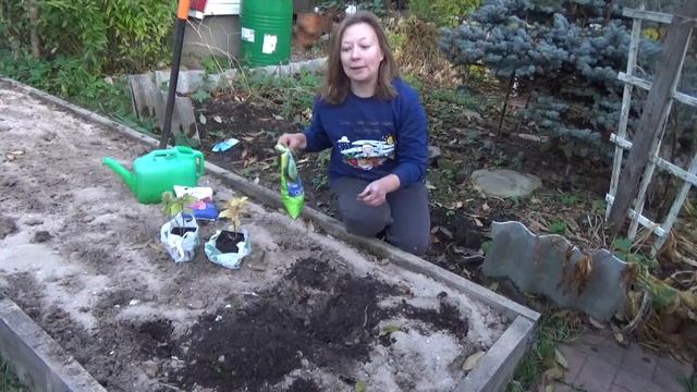 Секретная посадка сирени. смотреть онлайн