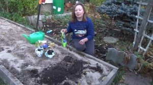 Секретная посадка сирени.