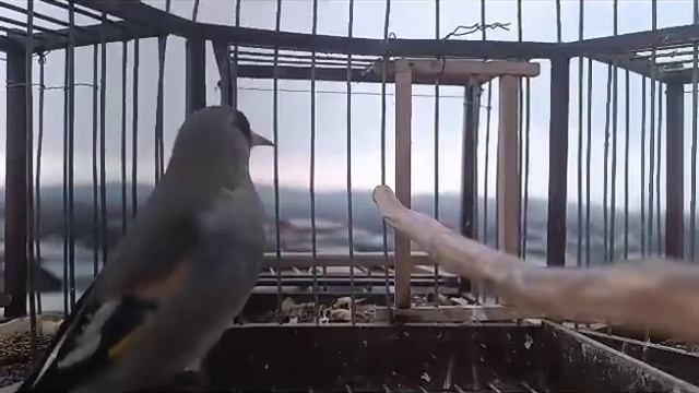 1 февраля 2024 г. смотреть онлайн