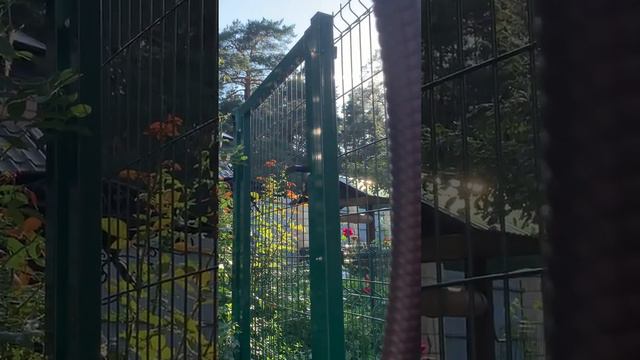 ОНИ ПРИХОДЯТ ВО СПАСЕНИЕ… ВЕДЬМИНА ИЗБА ИНГА ХОСРОЕВА смотреть онлайн