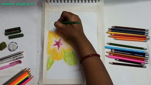 How to draw hibiscus. Hibiscus flower drawing with oil pastels and colour pencils. Easy floral art. смотреть онлайн