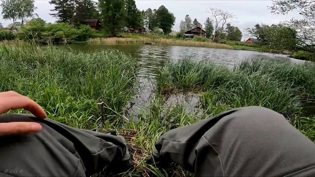 Рыбалка в конце мая. Ловлю плотву на самоделку попла попер смотреть онлайн