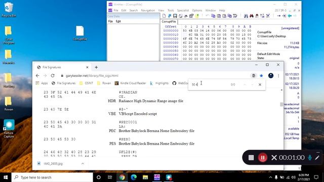 How to Find the Extension Using WinHex смотреть онлайн
