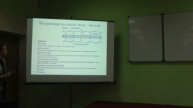 5.11.13 - Анатомия беспозвоночных - Карасева Н.П. часть 3 смотреть онлайн