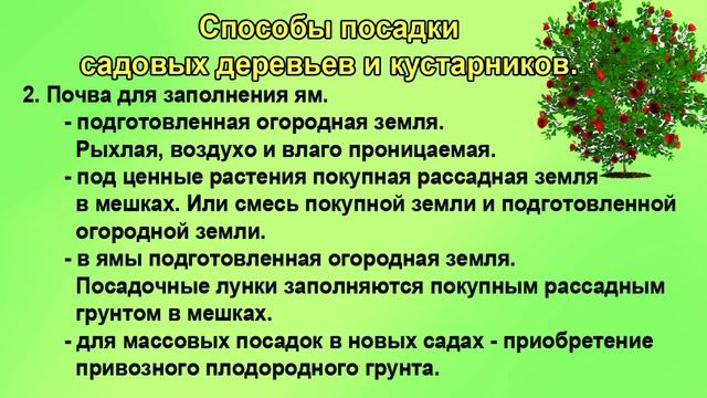 Как посадить саженцы плодовых деревьев и кустарников смотреть онлайн