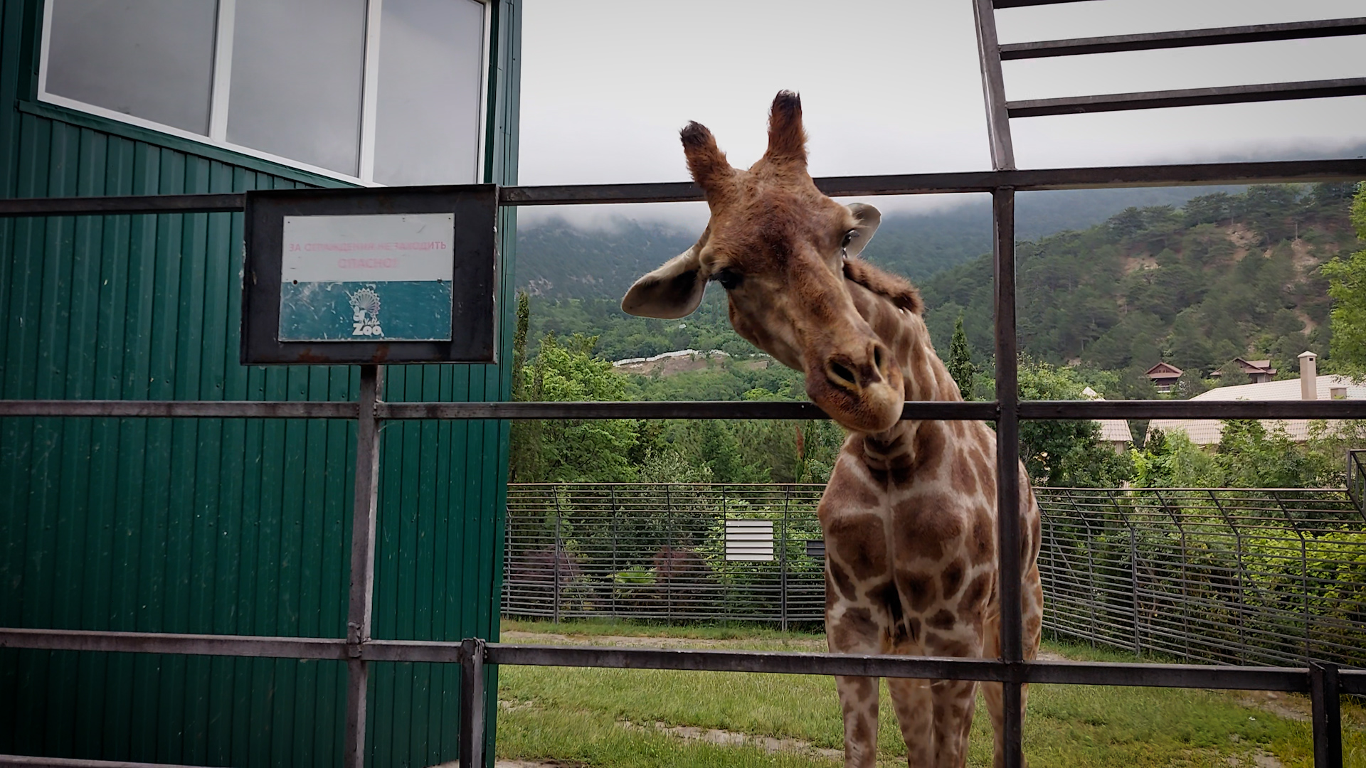 Ялтинский зоопарк "Сказка". Первый зоопарк Олега Зубкова. Крым. Июнь 2023. 1 часть. смотреть онлайн