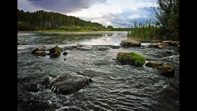 Пойменно островной природный комплекс смотреть онлайн