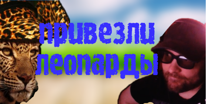 ПРИВЕЗЛИ ЛЕОПАРДЫ