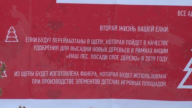 Экоакция «Подари своей елке вторую жизнь» смотреть онлайн