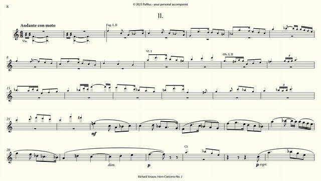 Richard Strauss: Horn Concerto No. 2 - Orchestra accompaniment 440Hz смотреть онлайн