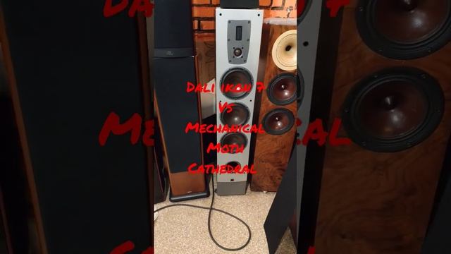 12 февраля 2023 г. смотреть онлайн