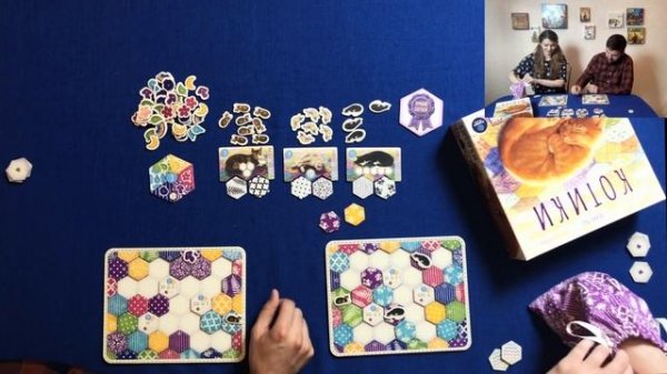 Играем в Котики/Calico!