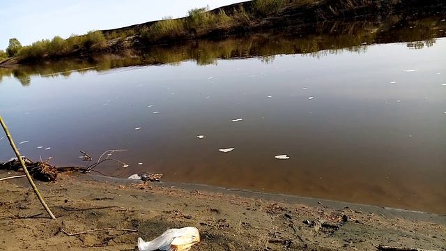 Лапти на реке Чумыш. смотреть онлайн