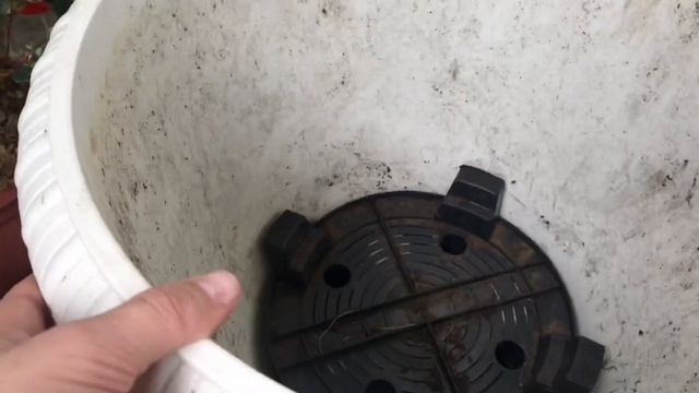 Глициния на балконе смотреть онлайн