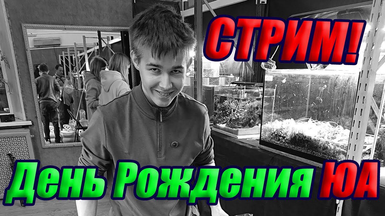 День Рождения Юного Аквариумиста смотреть онлайн