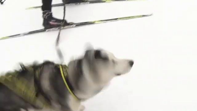 Каменный пояс смотреть онлайн