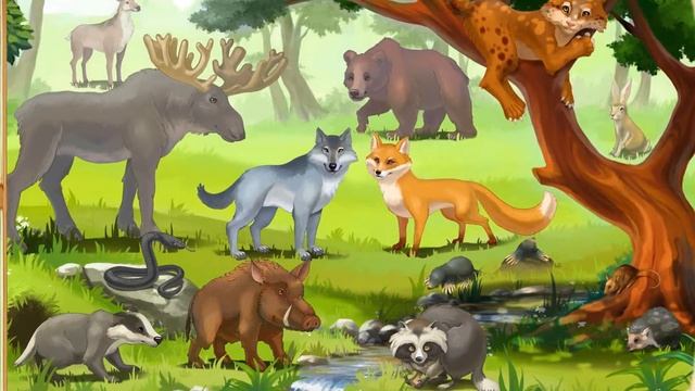 4Звери в лесу смотреть онлайн