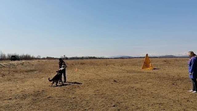 18.  выражено/перв OSTEN STERN OLIVER (Napoli V. Bad-Boll – Osten Stern Olesya)