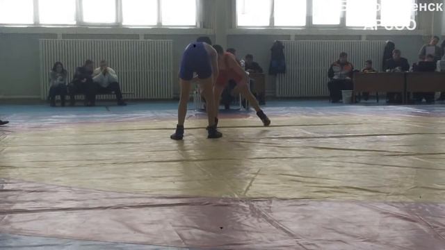 Первенство города Благовещенска по вольной борьбе 2.04.2016 смотреть онлайн